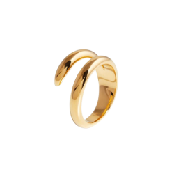 Gold ring Nr.2